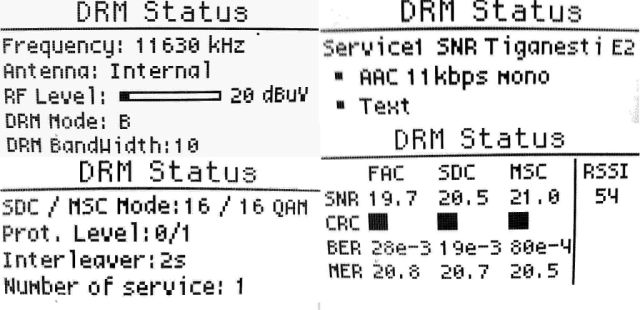 bradtmoeller-drm-1.jpg