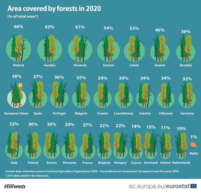 suprafata-paduri-202-eurostat.jpg