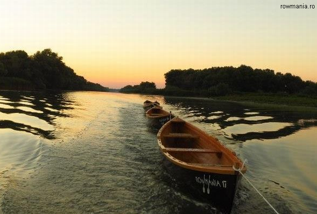 Revitalizing the Danube Delta