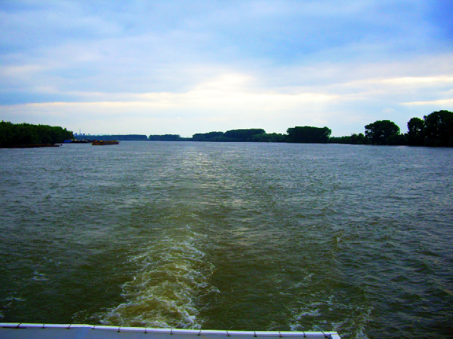 Projet de restauration de la plaine inondable du Danube