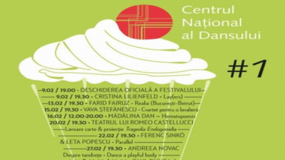 Фестиваль сучасного танцю й перформенсу «Like CNDB #1»