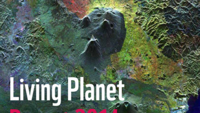 Отчет «Зеленая планета» 2014