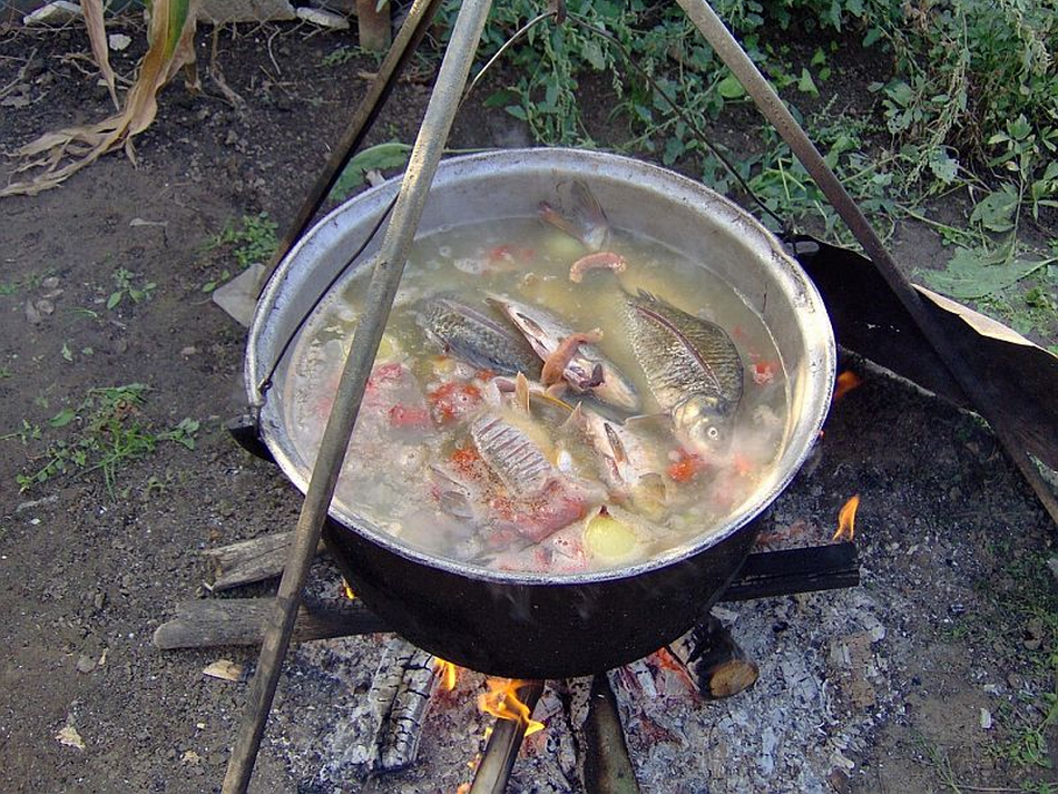 La soupe roumaine au poisson