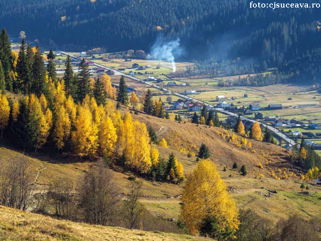 Tourisme rural en Bucovine