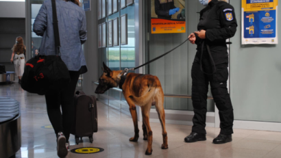 România – primul pacient depistat cu COVID-19 cu ajutorul unui câine poliţist
