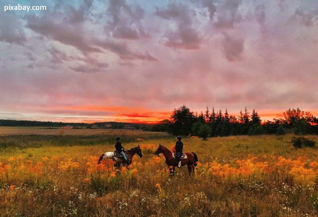 Turism ecvestru în România