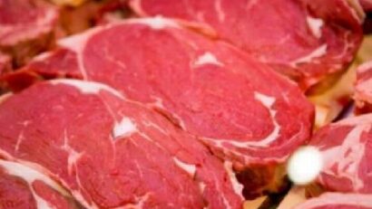 Scandalo carne equina: proseguono accertamenti Dna