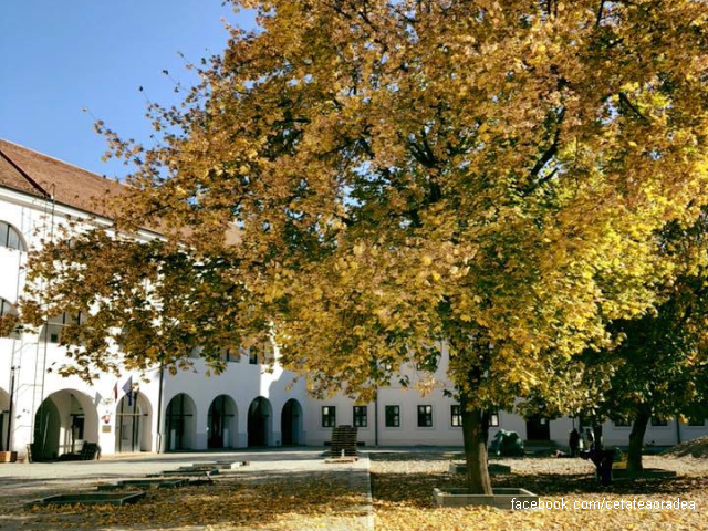 Muzeul Cetăţii Oradea