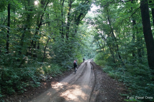 Naturpark Comana: Habitat für viele Tierarten