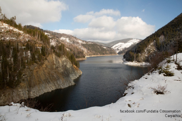 The Green Planet: Protecting the forests of the Carpathians