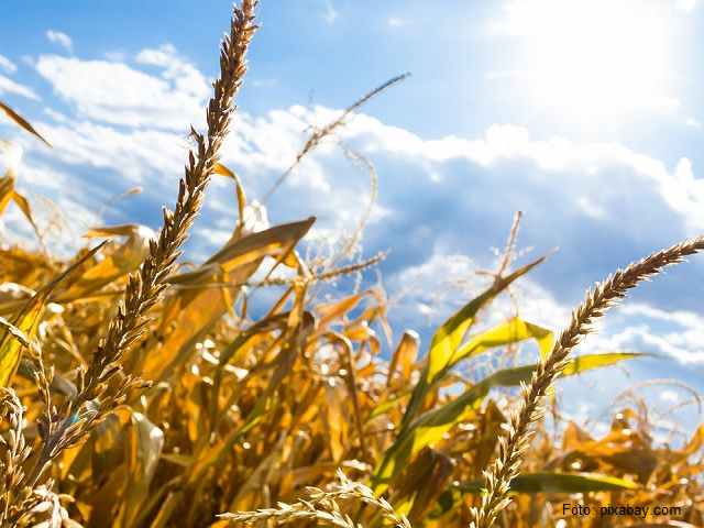 Rumänien unterstützt Landwirte