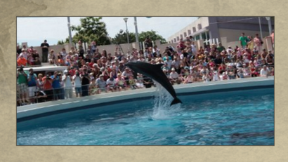 The Dolphinarium in Constanta