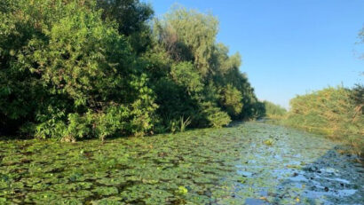 Ecotourisme au delta du Danube