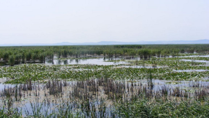 Centro europeo de investigación del Delta del Danubio