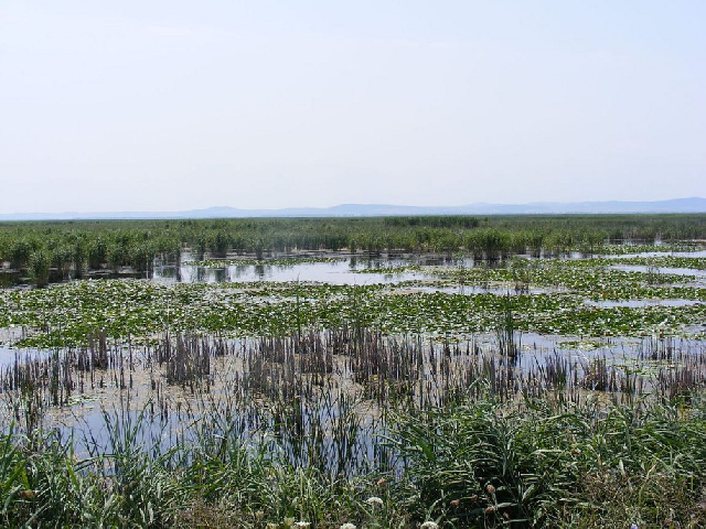 Centro europeo de investigación del Delta del Danubio