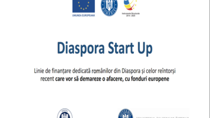 Projects for Romanians in the Diaspora