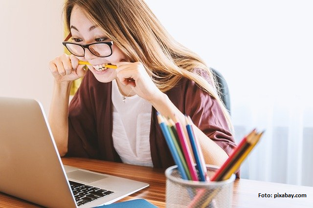 Rumänische Schüler lernen online