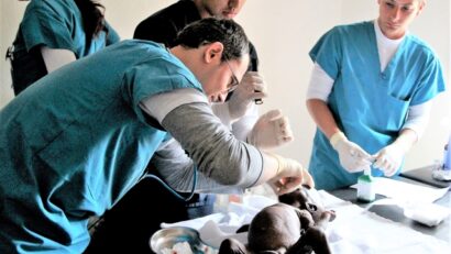 Chirurg român salvează vieți in Africa ecuatorială
