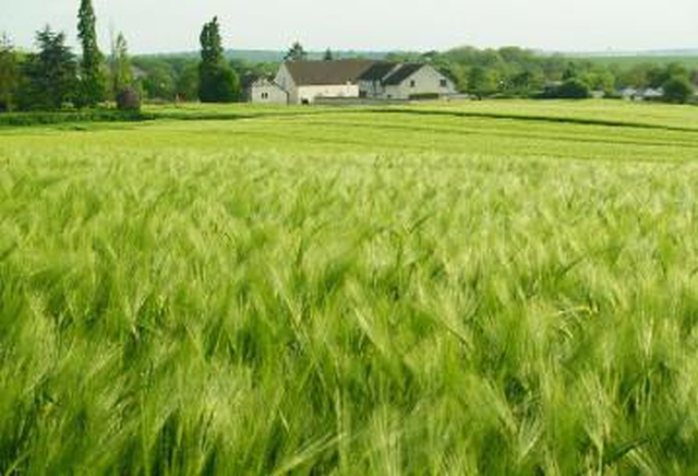 Săptămâna verde în UE