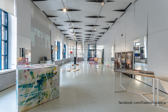 L’exposition «Arta», à la galerie Galateca