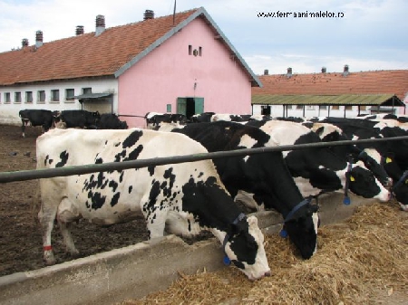 Aflatoxin-Skandal: Gesundheitsamt stellt Ergebnisse der Untersuchungen vor