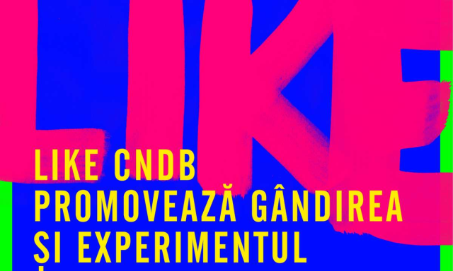 The LIKE CNDB Festival