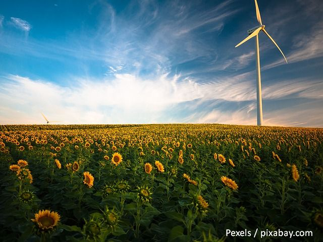 Herausforderungen im Bereich der erneuerbaren Energien