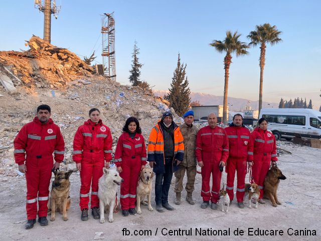 Chiens de sauvetage au secours des victimes du séisme en Turquie