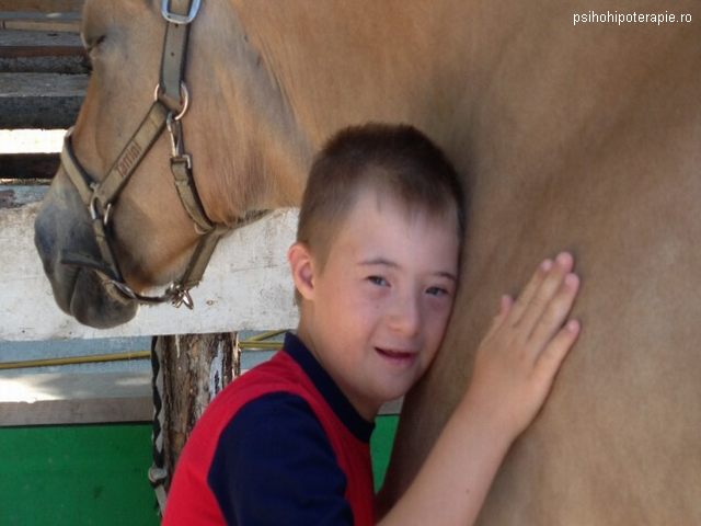 Terapia con caballos