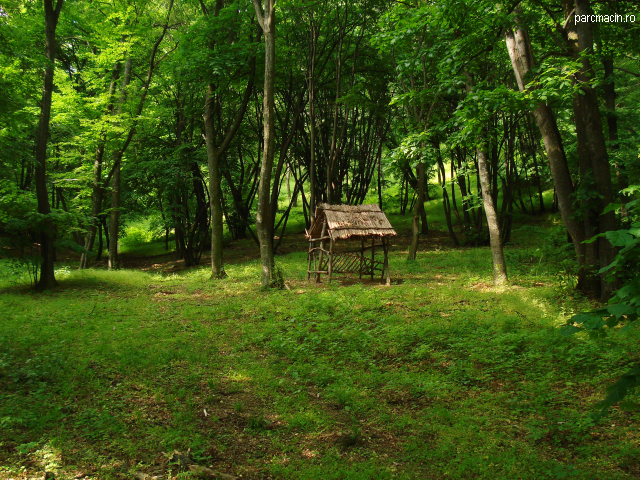 Parcul Naţional Munţii Măcinului