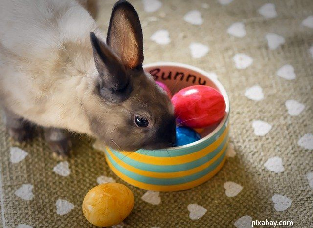 La fête de Pâques chez les catholiques de Roumanie