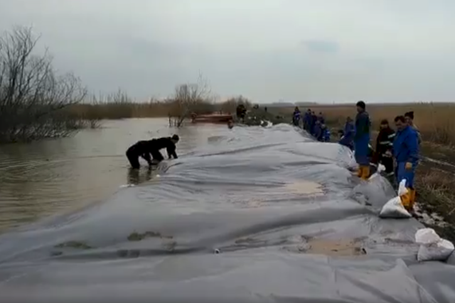 Südrumänische Landkreise von Hochwasser betroffen