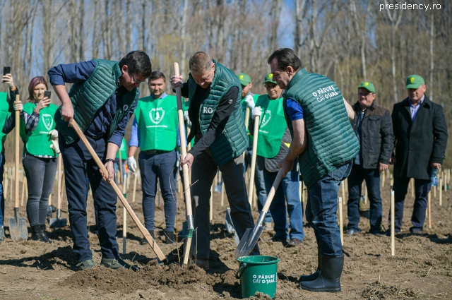 Lancement de la campagne «Une forêt aussi grande qu’un pays »