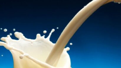 Emergenza aflatossina: il ministro dell’Agricoltura rassicura, latte contaminato ritirato