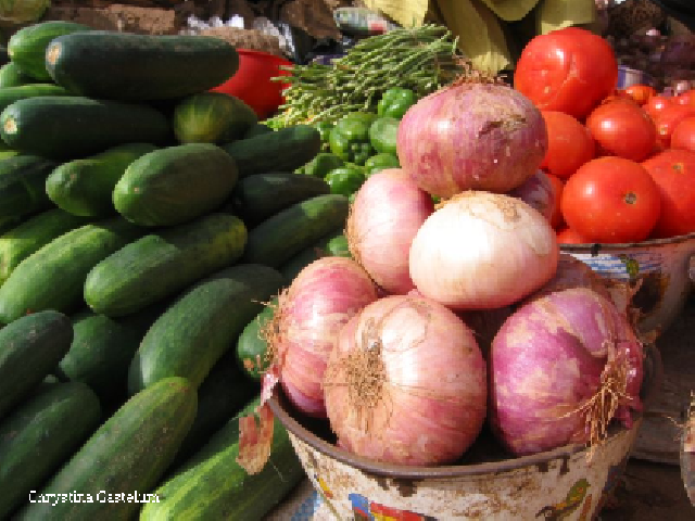 Efectos del embargo aplicado por Rusia a los productores de fruta y verdura