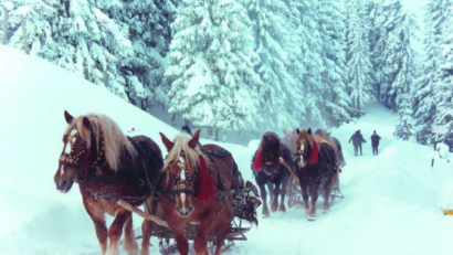 2013年12月29日：在罗马尼亚过冬季节日