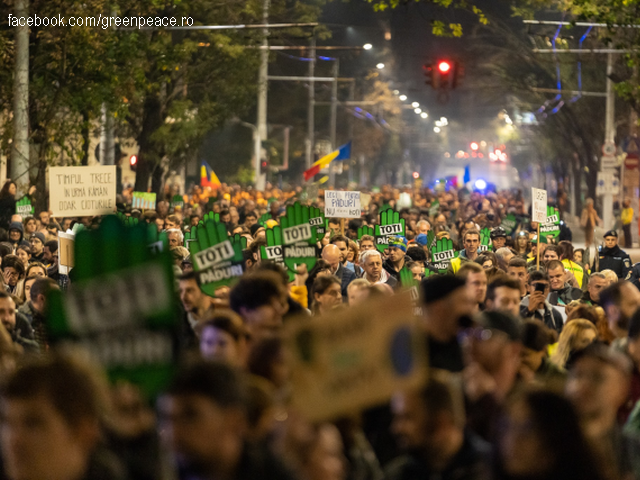 Marchas por los bosques de Rumanía