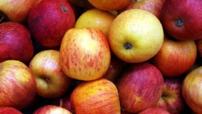 Ernährungskultur: frisches Obst und Gemüse in den rumänischen Schulen