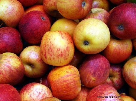 Fresh Fruit and Vegetables in Schools