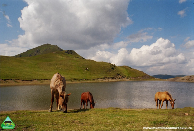 The Maramures Mountains Nature Park