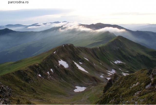 Le parc national des monts Rodnei