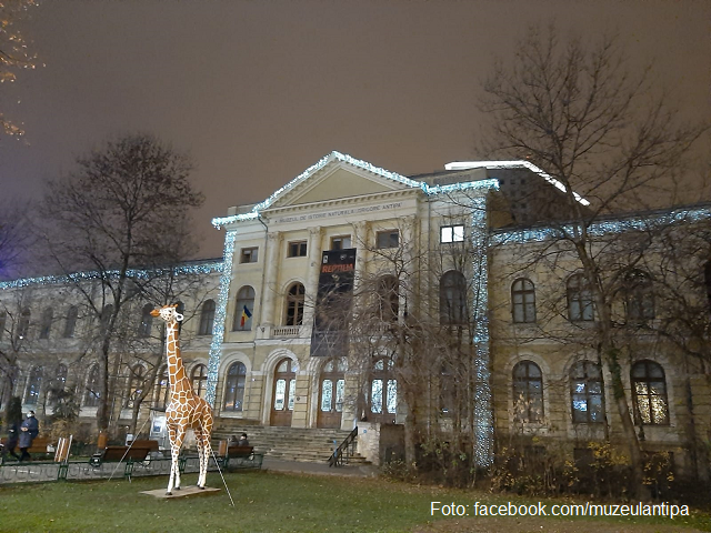 Museo Nacional de Historia Natural «Grigore Antipa»