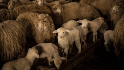 Jóvenes emprendedores en el sector agrícola