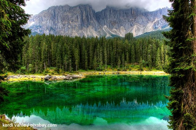 Pădurile și resursele naturale în statele UE