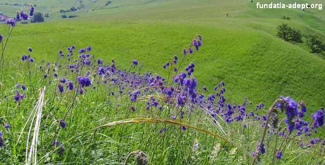 Farming land of high natural value