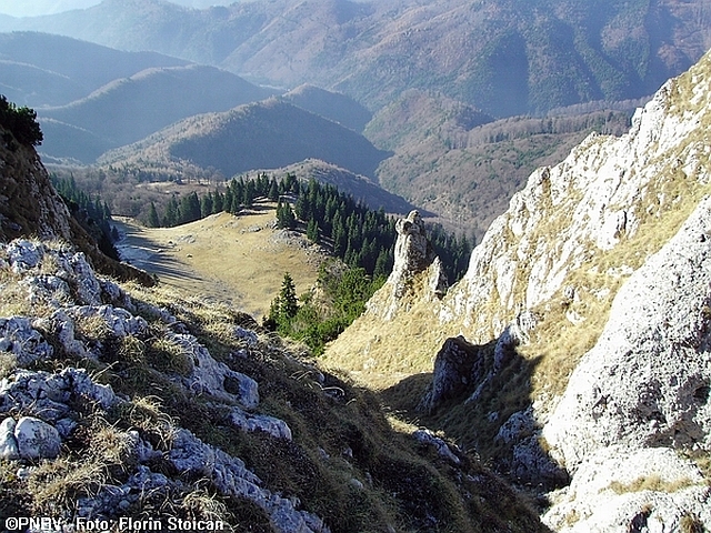 The NGO’s fight to protect rivers in the Carpathian Mountains