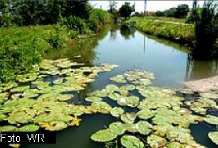 Samir Bechka (Algérie) – est-ce que les eaux sont polluées en Roumanie?