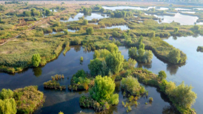 Le Delta de Văcăreşti, future aire naturelle protégée