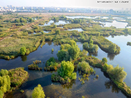 Une nouvelle aire naturelle protégée à Bucarest