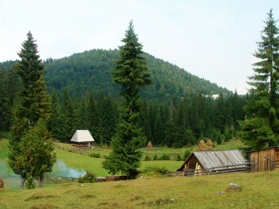 Осінь в селі